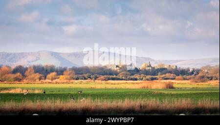 Vue à l'ouest de Pevensey et du château avec les descentes du sud s'élevant derrière dans l'est du Sussex, le sud-est de l'Angleterre Banque D'Images