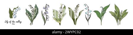 Lily of the Valley, mai mois de naissance fleurs ensemble. Illustration de Vecteur