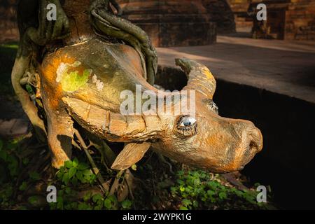 Une statue de buffle sur le sol dans le jardin. Statue en bois de buffle sur herbe, jardin asiatique, décor. Personne, focalisation sélective Banque D'Images