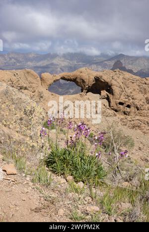 La formation rocheuse Ventana del Bentayga (fenêtre sur Bentayga) avec le pic Roque Bentayga derrière à droite. La formation ressemble à un baiser venu Banque D'Images