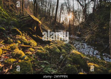 Entlang des Urzeit- und GEO-Schauweg durch die Glasenbachklamm, welche dem Verlauf des Klausbach folgt und seinen Ursprung im Egelseemoor findet. Fotografiert AM 04.02.2020. // le long de la préhistoire et GEO Schauweg à travers le Glasenbachklamm, qui suit le cours du Klausbach et trouve ses origines dans l'Egelseemoor. Photographié le 4 février 2020. - 20200402 PD11860 crédit : APA-PictureDesk/Alamy Live News Banque D'Images