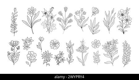 Ensemble de minuscules fleurs sauvages et de plantes au trait d'art. Illustration de Vecteur