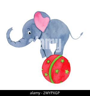 Éléphant de cirque debout sur une boule, illustration d'aquarelle dessinée à la main isolé sur le fond blanc. Banque D'Images