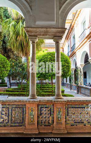 Une des nombreuses cours du Musée des Beaux-Arts de Séville dans un ancien couvent, Séville, Espagne Banque D'Images