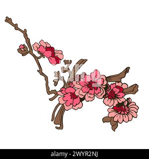 Sakura festive isolé sur fond blanc. Illustration vectorielle traditionnelle orientale. Japonais, chinois, coréen design tendance, célébration Illustration de Vecteur