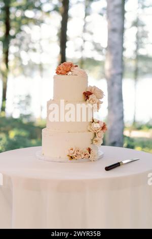 Gâteau de mariage à plusieurs niveaux avec des accents floraux Banque D'Images