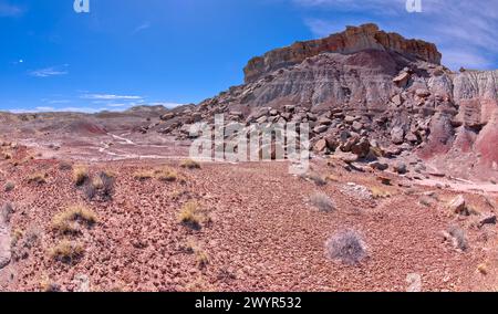 Falaises en ruine de Hamilili point à Petrified Forest AZ Banque D'Images