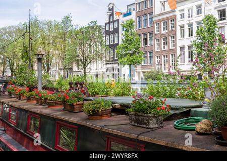 Boîtes à fleurs avec des plantes en fleurs colorées sur le toit d'une péniche sur le Prinsengracht à Amsterdam. Banque D'Images