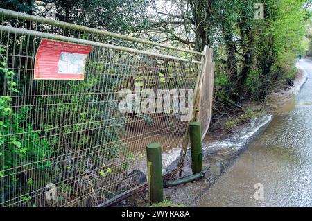 Harefield, Royaume-Uni. 8 avril 2024. Un panneau d'injonction de la haute Cour HS2 sur la clôture d'un chantier de construction HS2 à Harefield, près de l'endroit où l'eau coule à travers une route de campagne à Harefield. HS2 ont creusé des champs, abattu de nombreux arbres et détruit des haies dans la région. Les voies navigables à travers lesquelles HS2 travaillent doivent trouver de nouvelles routes qui, selon les habitants, exacerbent les problèmes d'inondation dans l'ouest de Londres et les Chilterns. Crédit : Maureen McLean/Alamy Live News Banque D'Images