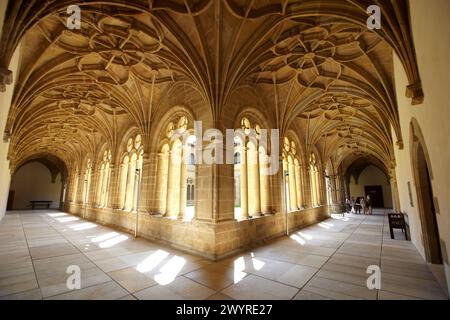 Cloître de l'ancien couvent dominicain (XVIe siècle), musée Museo San Telmo, San Sebastian, Gipuzkoa, pays Basque, Espagne. Banque D'Images