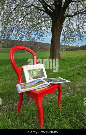 Der Fotobildband Bodypainting in nature von Jörg Düsterwald präsentiert auf einem roten Stuhl im Gröninger Feld. Hameln, 08.04.2024 *** le livre photo Bodypainting in nature de Jörg Düsterwald présenté sur une chaise rouge à Gröninger Feld Hameln, 08 04 2024 Foto:XT.xSkupinx/xFuturexImagex kirschbluete bodypainting 4405 Banque D'Images