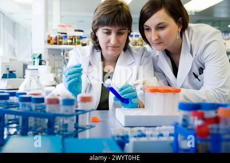 Coloration de substances, laboratoire biopharmaceutique, développement de nouvelles molécules thérapeutiques à base d'anticorps humains pour le traitement des maladies infectieuses et inflammatoires, Biotherapix, Grupo Genetrix, Madrid. Banque D'Images