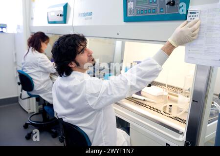 Purification des leucocytes dans une enceinte à flux laminaire. Laboratoire biopharmaceutique, développement de nouvelles molécules thérapeutiques à base d'anticorps humains pour le traitement des maladies infectieuses et inflammatoires, Biotherapix, Grupo Genetrix, Madrid. Banque D'Images