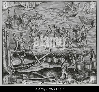 Pêche à la baleine. Fac-similé d'après une gravure sur bois tirée de 'la cosmographie universelle' d'André Thevet (1516-1590), publiée à Paris en 1575. « Moeurs, usages et costumes au moyen-âge et à l'époque de la Renaissance », de Paul Lacroix. Paris, 1878. Banque D'Images