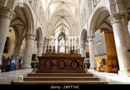 Prog Cathédrale de Michel (alias constitué Gudule). Bruxelles. Belgique. Banque D'Images