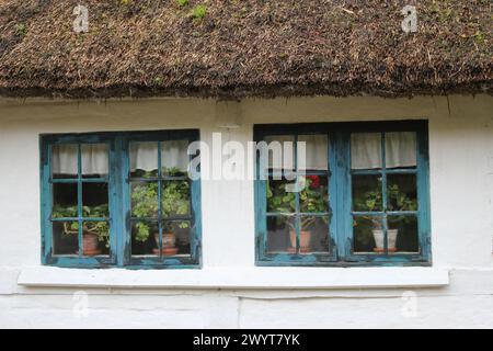 Le Musée danois en plein air (Frilandsmuseet) est un endroit où vous pouvez voir la campagne du Danemark historique. C'est l'un des plus grands et des plus anciens musées en plein air du monde - une destination touristique depuis 1897. Le musée est situé à Lyngby, au nord de Copenhague, au Danemark. Banque D'Images