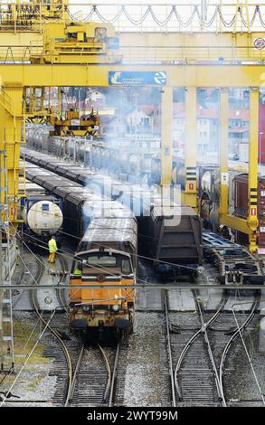 Trains de marchandises. Irun. Guipúzcoa (frontière hispano-française). Banque D'Images