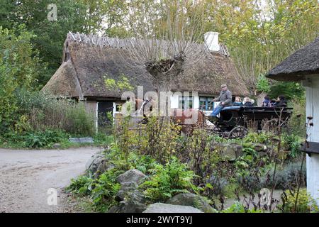 Le Musée danois en plein air (Frilandsmuseet) est un endroit où vous pouvez voir la campagne du Danemark historique. C'est l'un des plus grands et des plus anciens musées en plein air du monde - une destination touristique depuis 1897. Le musée est situé à Lyngby, au nord de Copenhague, au Danemark. Banque D'Images