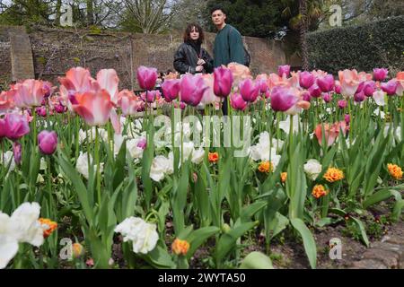 Visiteurs dans le jardin hollandais de Holland Park, au centre de Londres. D'autres avertissements météorologiques concernant le vent et la pluie ont été émis dans tout le pays à la suite des perturbations causées par la tempête Kathleen. Le met Office a émis quatre avertissements distincts couvrant le sud de l'Angleterre, l'ouest du pays de Galles et l'Écosse continentale du lundi au mardi soir. Date de la photo : lundi 8 avril 2024. Banque D'Images