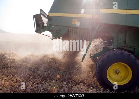 Machine agricole. Moissonneuse-batteuse sur champ de blé. Domaine Learza. Près d'Estella, Navarre, Espagne. Banque D'Images