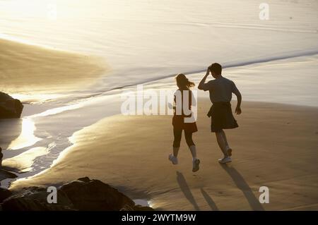 Roches jumelles. Plage d'Hendaya, Aquitaine, Pyrénées Atlantiques, France. Banque D'Images