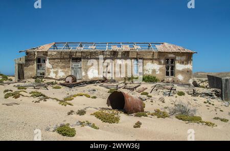 Maison de mineur abandonnée, en ruine, avec végétation désertique et tambour de pétrole rouillé au premier plan, préservée par l'air sec du désert, à la mine Borgenfels en t Banque D'Images