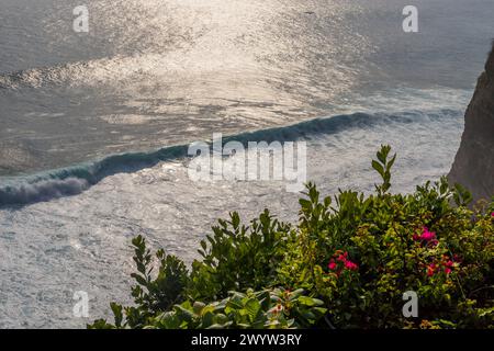 Côte près du temple Uluwatu à Bali, Indonésie Banque D'Images