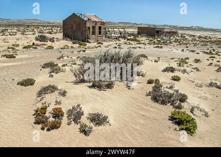 Végétation désertique au premier plan avec et abandonnée maison et dépendances des ouvriers des mines de diamants derrière. Banque D'Images