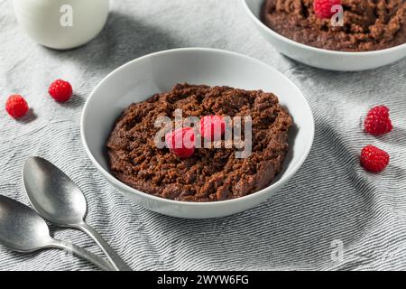 Porridge Farina au chocolat maison sain pour le petit déjeuner dans un bol Banque D'Images