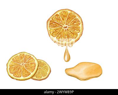 Aquarelle tranches d'orange mûres avec du jus qui coule. Gouttes de jus. Illustration botanique de l'ingrédient de cocktail froid d'été pour le menu, cocktail party Banque D'Images