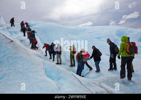 Mini trekking. Promenade sur le glacier avec des crampons. Glacier Perito Moreno. Parc national Los Glaciares. Près de El Calafate. Province de Santa Cruz. Patagonia. Argentine. Banque D'Images