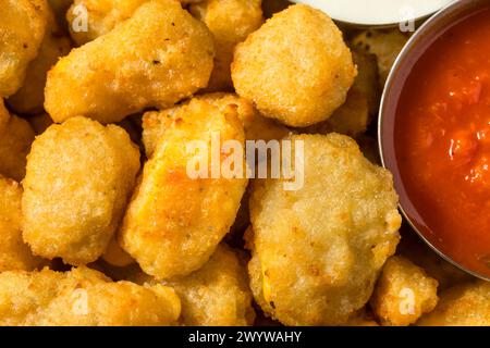 Curdes de fromage du Wisconsin frits maison avec sauce trempée Banque D'Images