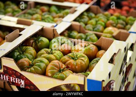 Les tomates, les fruits et légumes Mercabilbao, marché de gros de Basauri, Bilbao, Biscaye, Pays Basque, Espagne. Banque D'Images