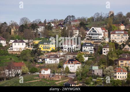 Stadtansicht Stuttgart. Wohnhäuser in der begehrten Halbhöhenlage Killesberg, Bismarckturm. // 06.04.2024 : Stuttgart, Bade-Württemberg, Allemagne, Europe *** vue sur la ville Stuttgart bâtiments résidentiels dans le très prisé emplacement à mi-hauteur de Killesberg, Tour Bismarck 06 04 2024 Stuttgart, Bade-Württemberg, Allemagne, Europe Banque D'Images