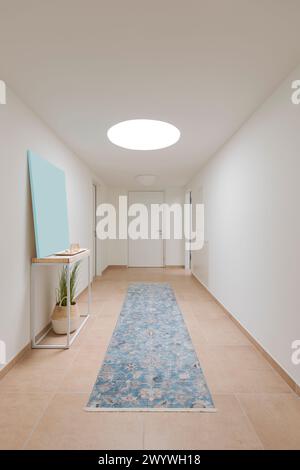 Couloir d'un appartement moderne avec un puits de lumière et un tapis au milieu. A l'arrière une porte blanche fermée. Sur la gauche une plante verte. Banque D'Images