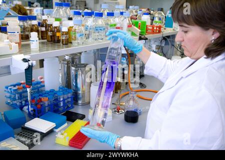 Coloration de substances, laboratoire biopharmaceutique, développement de nouvelles molécules thérapeutiques à base d'anticorps humains pour le traitement des maladies infectieuses et inflammatoires, Biotherapix, Grupo Genetrix, Madrid. Banque D'Images