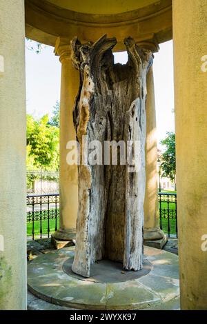 Le «vieil arbre» de Guernica à l'intérieur de ses tholos. Casa de Juntas de Guernica - Maison de l'Assemblée de Gernika. Guernica y Luno, Vizcaya, País Vasco, Espagne, EUR Banque D'Images