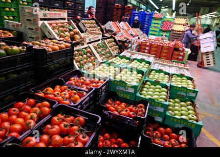 Fruits et légumes Mercabilbao, marché de gros de Basauri, Bilbao, Biscaye, Pays Basque, Espagne. Banque D'Images