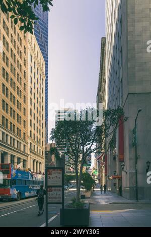 San Francisco, CA, États-Unis. 16 mars 2024 : au cœur du quartier financier de San Francisco, California Street Banque D'Images