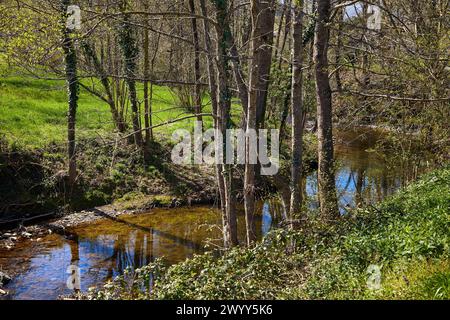 Rivière Oria, Segura, Gipuzkoa, pays Basque, Espagne. Banque D'Images