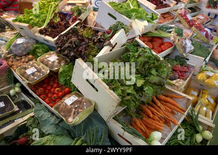 Alimentation écologique. Bioterra, foire des produits biologiques, de la gestion écologique et de l'environnement, FICOBA, foire internationale de la Côte Basque. Irun, Gipuzkoa, pays Basque, Espagne. Banque D'Images