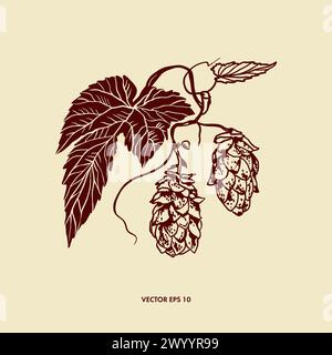 Houblon plante, feuilles et fleurs. Illustration vectorielle dessinée à la main dans un style graphique. Conception de menus, cartes de vin et de bière, étiquettes, bannières, dépliants. Illustration de Vecteur