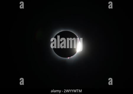 Plano, États-Unis. 8 avril 2024. Une éclipse solaire totale est photographiée à Plano, Texas, États-Unis, le 8 avril 2024. Une éclipse solaire totale balayait l'Amérique du Nord lundi, alors que les résidents et les visiteurs se rassemblaient à différents endroits sur le chemin de l'éclipse pour regarder et encourager. L'éclipse solaire totale -- surnommée la Grande éclipse américaine pour son long chemin au-dessus de l'Amérique du Nord -- était visible dans le ciel au-dessus de certaines parties du Mexique, de 15 états américains et de l'est du Canada. Crédit : Dan Tian/Xinhua/Alamy Live News Banque D'Images