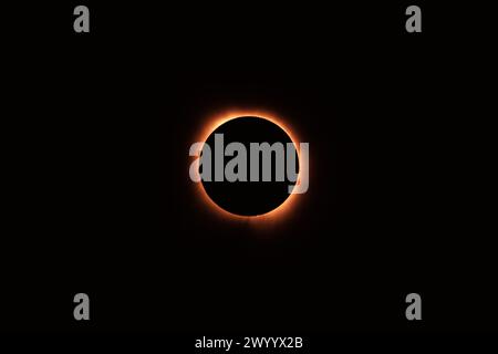 Plano, États-Unis. 8 avril 2024. Une éclipse solaire totale est photographiée à Plano, Texas, États-Unis, le 8 avril 2024. Une éclipse solaire totale balayait l'Amérique du Nord lundi, alors que les résidents et les visiteurs se rassemblaient à différents endroits sur le chemin de l'éclipse pour regarder et encourager. L'éclipse solaire totale -- surnommée la Grande éclipse américaine pour son long chemin au-dessus de l'Amérique du Nord -- était visible dans le ciel au-dessus de certaines parties du Mexique, de 15 états américains et de l'est du Canada. Crédit : Dan Tian/Xinhua/Alamy Live News Banque D'Images