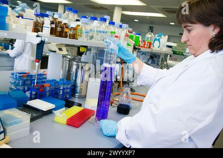 Coloration de substances, laboratoire biopharmaceutique, développement de nouvelles molécules thérapeutiques à base d'anticorps humains pour le traitement des maladies infectieuses et inflammatoires, Biotherapix, Grupo Genetrix, Madrid. Banque D'Images