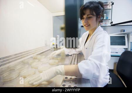 Hottes à flux laminaire. Laboratoire de microbiologie. Analyse microbiologique des aliments. AZTI-Tecnalia. Centre technologique spécialisé dans la recherche marine et alimentaire. Sukarrieta, Bizkaia, Euskadi. Espagne. Banque D'Images