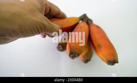 Fruit de banane rouge présent dans une grande partie du territoire brésilien Banque D'Images