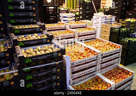 Les tomates, les fruits et légumes Mercabilbao, marché de gros de Basauri, Bilbao, Biscaye, Pays Basque, Espagne. Banque D'Images