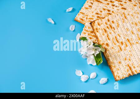 Flatlay de la pâque des fêtes. Pain traditionnel matzah et fleurs de printemps sur fond bleu. Copier l'espace. Banque D'Images