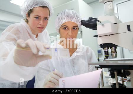 Connaissant la viabilité des cellules de mammifères grâce à la coloration vitale bleu trypan, les chercheurs travaillant dans la salle de culture cellulaire, microscope à fluorescence, laboratoire de culture cellulaire, unité de technologie de la santé, Tecnalia recherche & innovation, Miramon Technology Park, San Sebastian, Donostia, Gipuzkoa, pays basque, Espagne. Banque D'Images